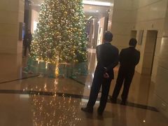 -上海波特曼丽思卡尔顿酒店