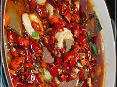 -雲蜀龙阁·金牌水煮鱼(方庄店)