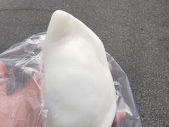 -鸣鹤古镇
