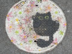 -黄村公园