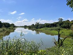 -鹤之洲湿地公园