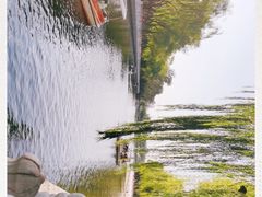-什刹海