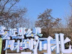 -正定古城-开元寺