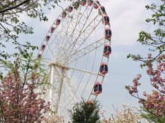 -自然谷恐龙园