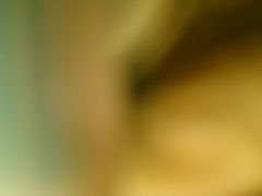 -灶丰年间(定安路店)