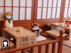 -豆柴町-柴犬主题狗咖(红鼎国际C座店)