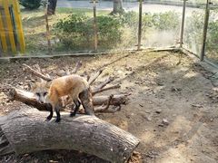 -无锡动物园·太湖欢乐园