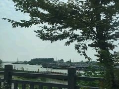 -洪湖生态旅游区