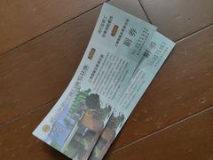 -莘城学校羽毛球馆