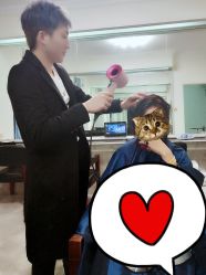-BM SALON