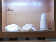 -上海纺织博物馆