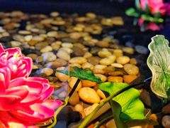 -碧露轩·大益茶体验馆(镇江路店)