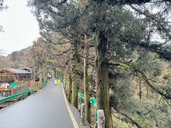 -南岳衡山风景名胜区