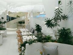 -大树餐厅(朝阳大悦城店)