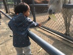 -长白岛森林公园