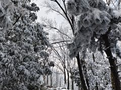 -九华山风景区-东崖禅寺