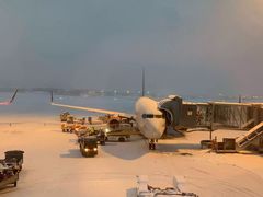 -阿姆斯特丹史基浦机场