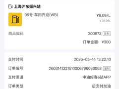 -中国石油加油站(严桥路站)