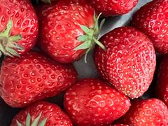 -小鱼草莓采摘园农家乐·小鱼餐厅