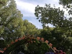 -共青国家森林公园-售票处