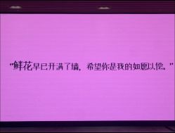 -UMl Nail 尤米美甲美睫半永久