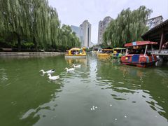 -团结湖公园