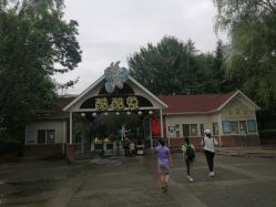 -酷酷兔少儿拓展天地