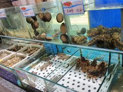 -渔码头食府·20年蓬莱老字号(登州路店)