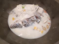 鲜潭蒸汽石锅江团鱼-鲜潭蒸汽石锅鱼(五道口购物中心店)