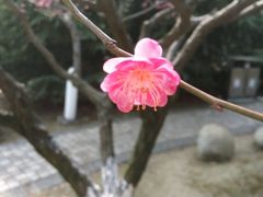 -白塘生态植物园