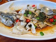 -顺德了能馆(虎门店)