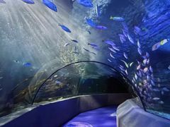 -太平洋海底世界