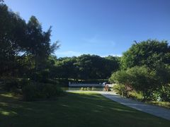 -东莞植物园