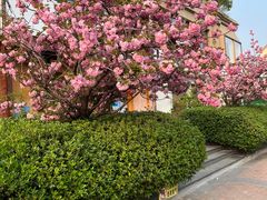 -晓寿司·精致料理(绿地店)