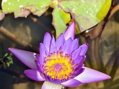 -海窝子古镇