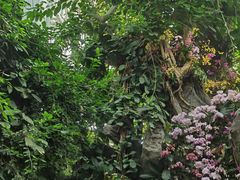 -郑州植物园