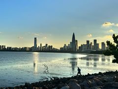 -深圳湾公园(南山区)