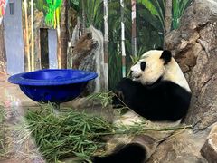 -海南热带野生动植物园