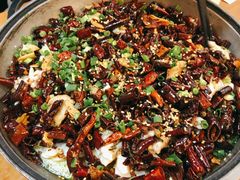 黑鱼花-三猫黑鱼花(南大店)