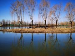 -东郊湿地公园