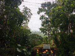 -野象谷景区