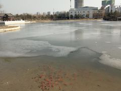 -西海子公园