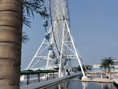 -秦皇岛乐岛海洋王国