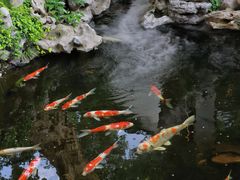 -鲤院·新中式美学·庭院餐厅(夫子庙店)