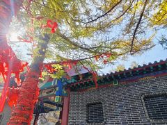 -崂山巨峰游览区