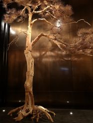 -广州文华东方酒店·宴会厅