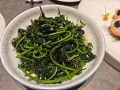 清炒苕尖-俏立方·15年新楚菜