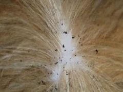 -萌兽医馆·犬猫专科·眼科中心·宠物医院(朝阳门分院)