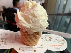 -野人先生现做冰淇淋(北京顺义祥云小镇店)