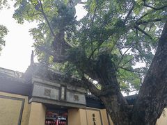 -无锡惠山寺